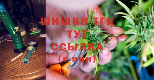 соль ск Алзамай