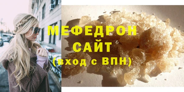индика Дмитров
