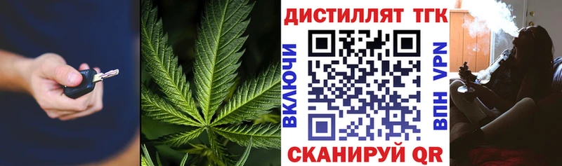 ТГК концентрат  Сосновый Бор 
