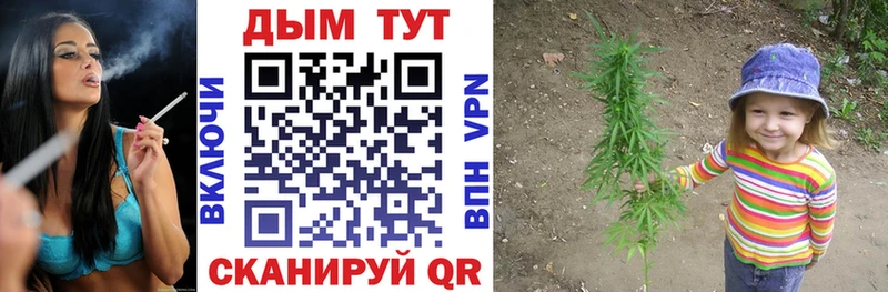 Каннабис ГИДРОПОН  закладка  Сосновый Бор 